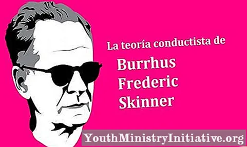 The Bf Skinner’s Theory And Behaviorism