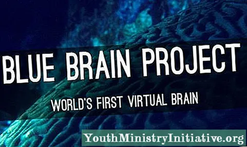 Proyekto sa Blue Brain: Pag-ayo sa Utok Aron Mas Masabtan Kini nga Mas Maayo