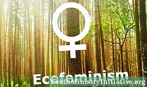 Ecofeminism: အဲဒါကဘာလဲ၊ Feminism ရဲ့လက်ရှိအနေအထားကခုခံကာကွယ်မှုလား။ - စိတ္ပညာ