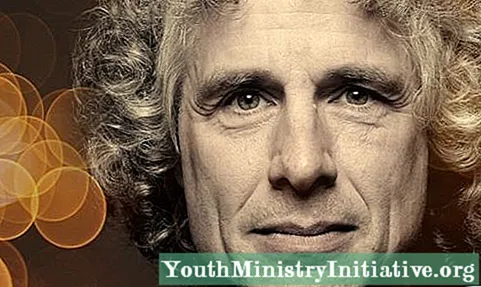 Les 30 millors frases famoses de Steven Pinker