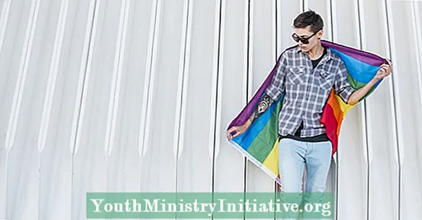 10 haastetta LGBTQ-opiskelijoiden kohtaaminen kouluissa