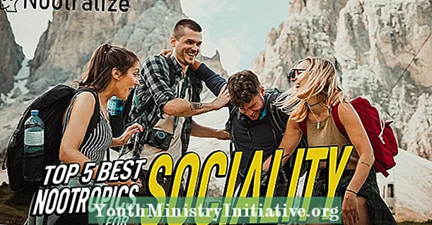 5 научно обосновани ноотропи за социални взаимодействия