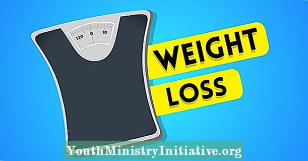 5 אמיתות מוצקות על ירידה במשקל