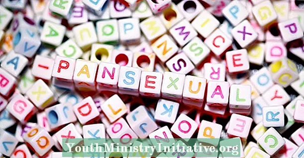 7 coses que tothom hauria d’entendre sobre la pansexualitat - Psicoteràpia