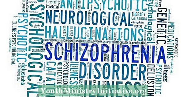 Antibiotika nalezena účinná u schizofrenie - Psychoterapie