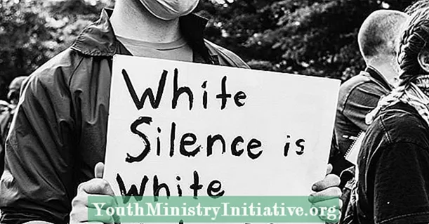 Бүх цагаан арьстан руу утасдаж: Та арьс өнгөөр ​​ялгаварлан гадуурхсан шударга ёсны холбоотон мөн үү?