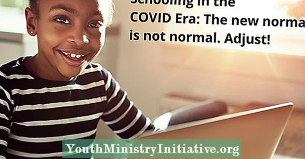 COVID Era Schooling: წერილი სკოლის ადმინისტრატორებს