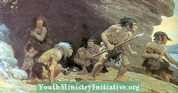 Apakah Neanderthal Menyukai Rasa Neanderthal lainnya?
