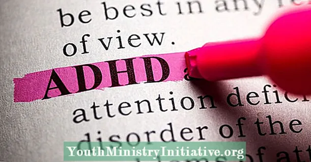 Hur ADHD påverkar människors sexliv och förhållanden - Psykoterapi