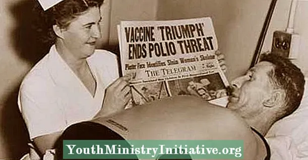 Več o pomanjkanju povezave med cepljenjem in avti