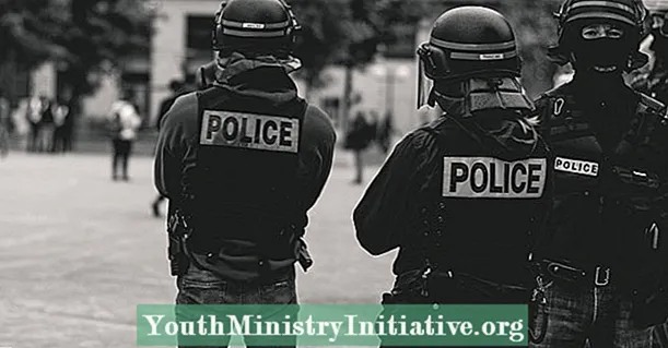Polizeikultur: Der lange Weg von Kriegern zu Wächtern - Psychotherapie