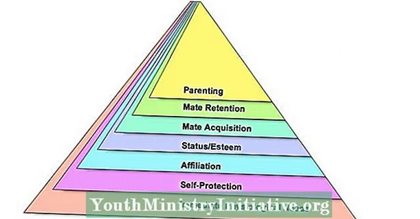 Maslow piramidės atstatymas evoliuciniame fonde