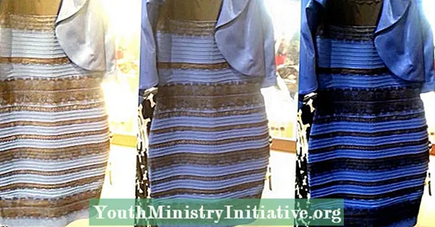 Plava / crno-bijela / zlatna haljina i stvarnost koja propituje