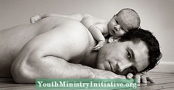 પિતાની અસર: બાળકોના જન્મથી પુરુષો કેવી રીતે બદલાય છે