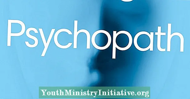 Psychopath, Yosinthidwa - Maphunziro A Psychorarapy
