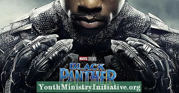 De rasiale polityk fan Black Panther