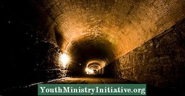 Yearning for the Light: Finding Hope in Life’s Dark Tunnels